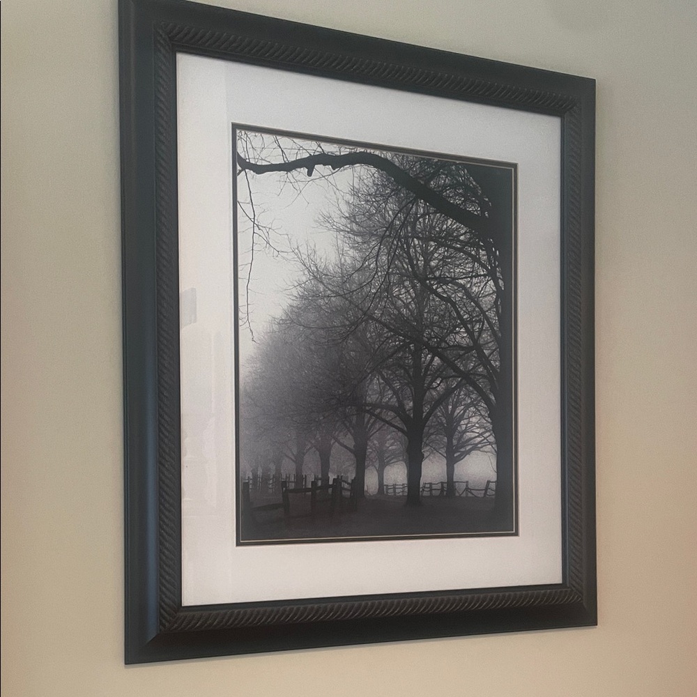 Framed Black and White Tree Art Print